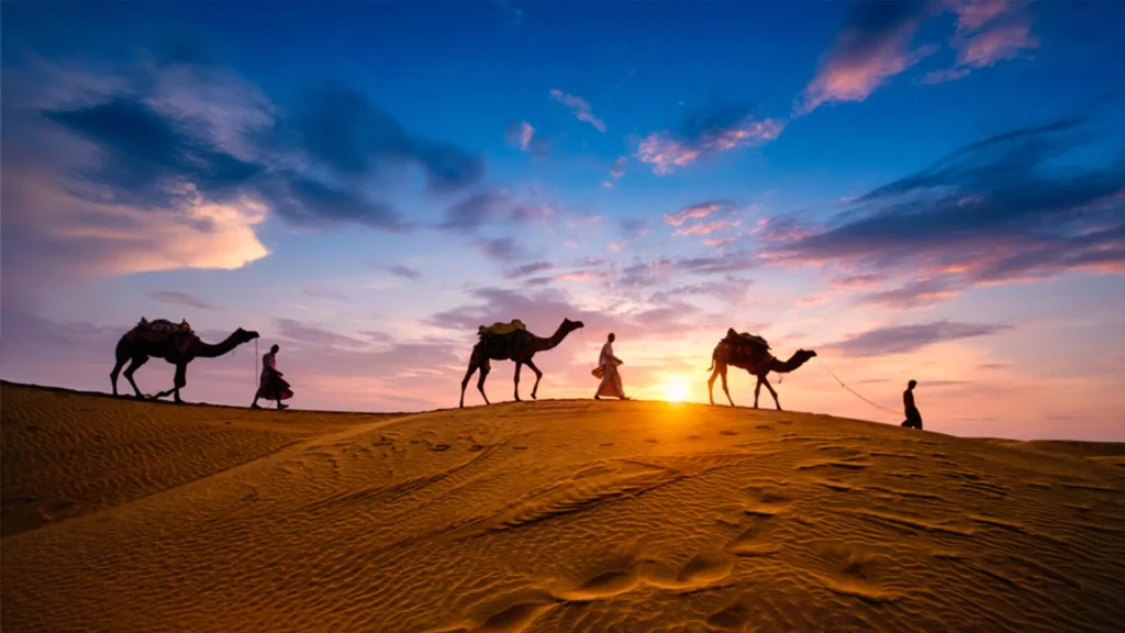 Liwa Desert Safari Abu Dhabi