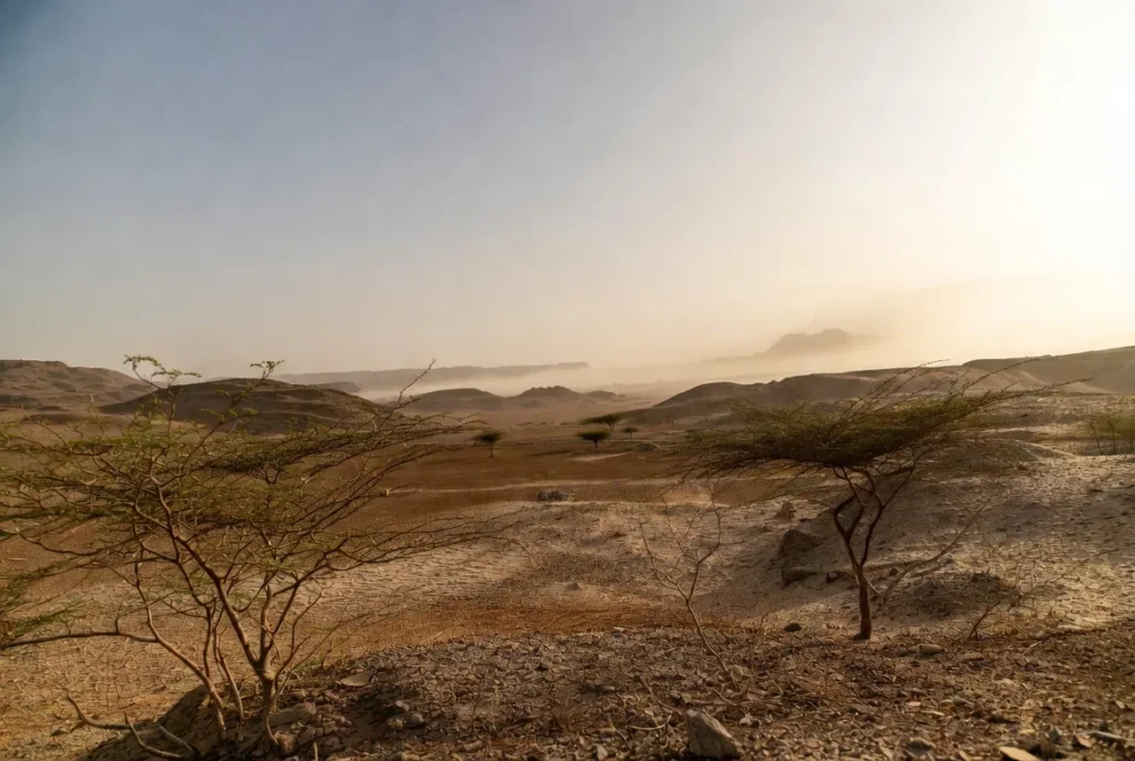 pakistan thar