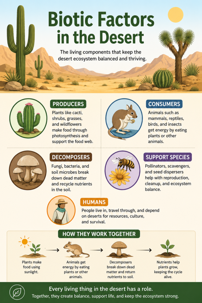 biotic factors for the desert